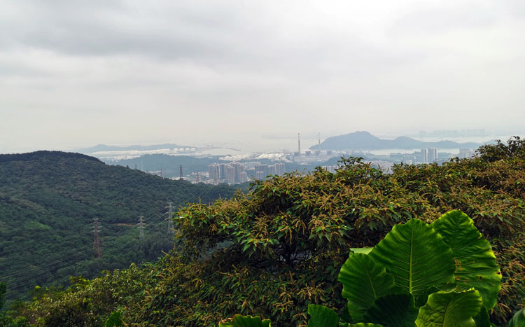 激揚(yáng)青春、奮勇攀登登山活動(dòng)